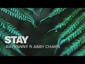 Rayvanny - Stay ft Abby Chams