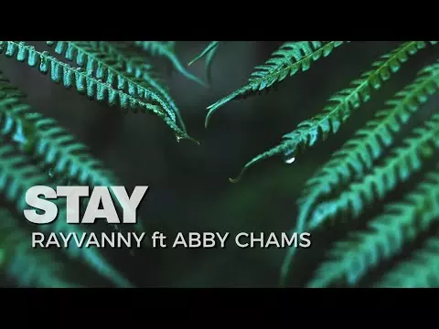 Rayvanny - Stay ft Abby Chams