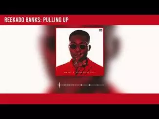Reekado Banks - Pulling Up (Official Audio)