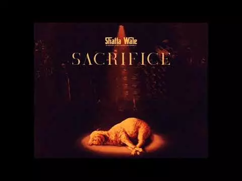 Shatta Wale - Sacrifice (Audio Slide)