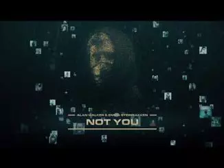 Alan Walker & Emma Steinbakken - Not You (Visualizer)