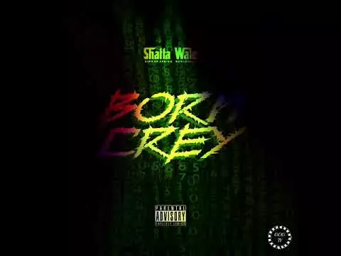 Shatta Wale - Born Crey (Audio Slide)