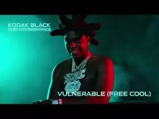 Kodak Black - Vulnerable (Free Cool) [Official Audio]