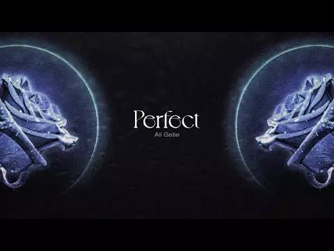 Ali Gatie - Perfect (Official Lyric Video)