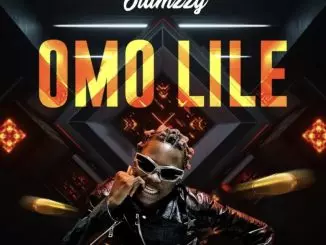 Olamzzy - Omo LiLe