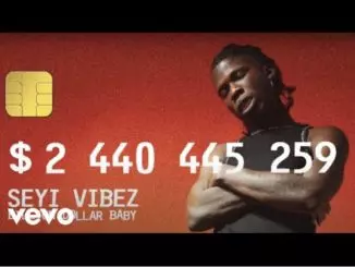 Seyi Vibez - Chance (Video) MP4 Download