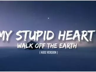 Walk Of The Earth - My Stupid Heart