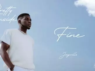 Jaywillz – Fine Audio